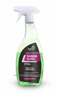 Dwufazowa odżywka Shining Gloss Vital 750 ml