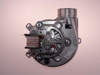 Wentylator EVGOLD/C/V/120/M25CCO  LN Natalini kotła MiniMax Dynamic Turbo Termet