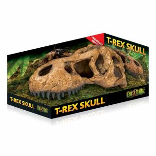Czaszka tyranozaura T-REX EXO TERRA