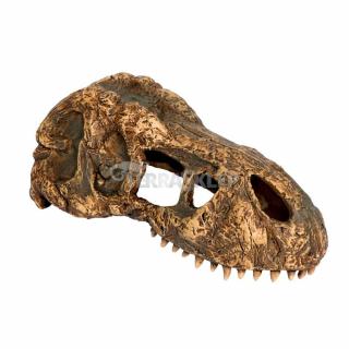 Czaszka tyranozaura T-REX mała  EXO TERRA