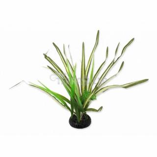 Spartina trawa 30cm REPTI PLANET