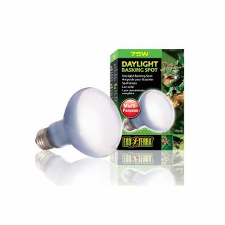 Żarówka DAY LIGHT 25 - 150W EXO TERRA 75W