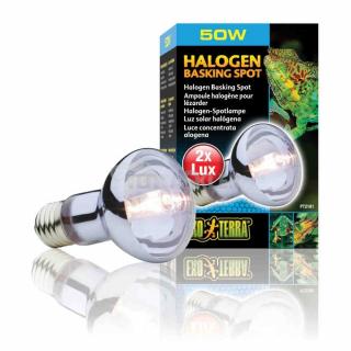 Żarówka halogenowa 50W BASKING SPOT EXO TERRA