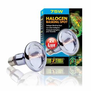 Żarówka halogenowa 75W BASKING SPOT EXO TERRA