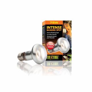Żarówka INTENSE BASKING SPOT 25 - 150W EXO TERRA 25W