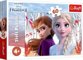 Puzzle 60 el. Frozen Zaczarowany świat Anny i Elsy,, puzzle dla dzieci