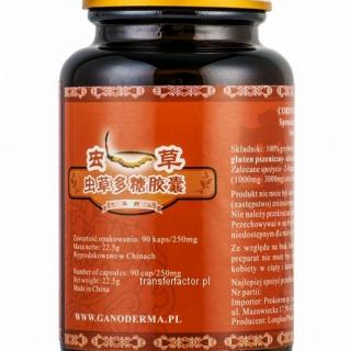 Cordyceps sinensis - sproszkowana grzybnia 90 kapsułek/250mg  SUPLEMENT DIETY 90 kapsułki po 250 mg