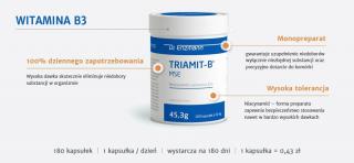 Triamit-B MSE 180 tabl witamina  B3