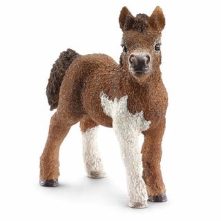 KUC SZETLANDZKI ŹREBIĘ SCHLEICH 13752