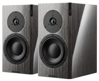 Dynaudio Focus 20 XD Grey Oak. Skorzystaj z 30 rat 0% w salonie Ultimate Audio Konin