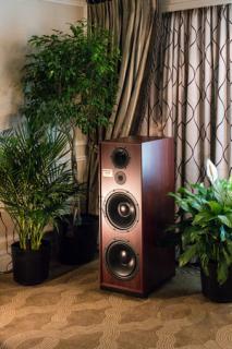 Spendor SP-200 Dark Walnut. Skorzystaj z 30 rat 0% w salonie Ultimate Audio Konin