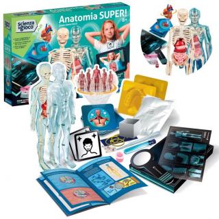 Clementoni Naukowa Zabawa Super Anatomia Człowieka Model Ludzkiego Ciała