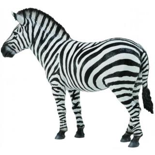 Collecta Figurka Zebra Pospolita 88830