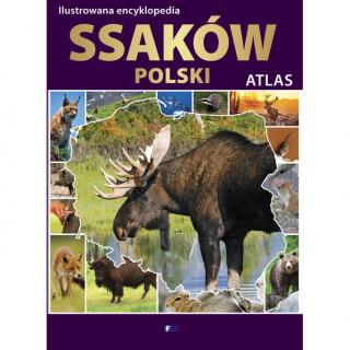 Ilustrowana Encyklopedia Ssaków Polski. Atlas