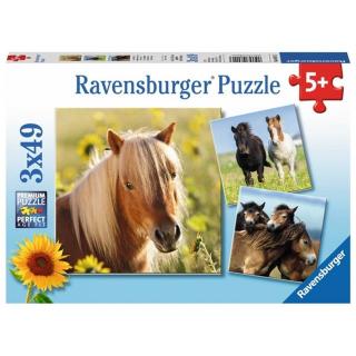 Ravensburger Puzzle 3x49 Kochane Konie 080113