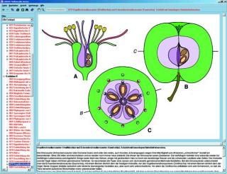 Biologia kwiatów i owoców - CD-ROM ze zdjęciami preparatów mikroskopowych