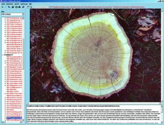 Botanika - CD-ROM ze zdjęciami preparatów mikroskopowych