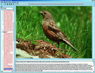 CD-ROM. Biotopy i ekosystemy - CD-ROM ze zdjęciami preparatów mikroskopowych