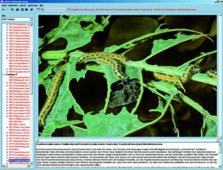 CD-ROM. Szkodniki i kontrola - CD-ROM ze zdjęciami preparatów mikroskopowych