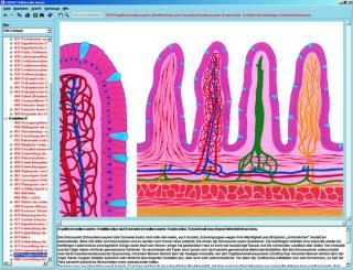Narządy układu pokarmowego i metabolizm - ciało człowieka - CD-ROM ze zdjęciami preparatów mikroskopowych