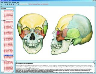 Szkielet człowieka, umięśnienie i aparat ruchu - CD-ROM ze zdjęciami preparatów mikroskopowych