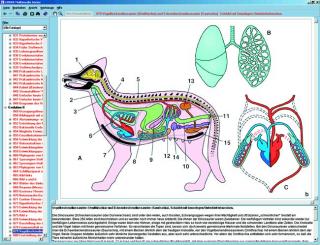 Zoologia - CD-ROM ze zdjęciami preparatów mikroskopowych