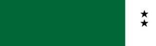 152 Ever Green, farba gwasz Turner B 25 ml