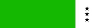 41 Permanent Green Light, farba gwasz Turner C 25 ml