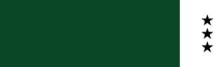 51 Permanent Green Deep, farba gwasz Turner B 25 ml