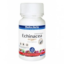 ECHINACEA JEŻÓWKA Extract 5:1 Total Chicorid Acid 4mg 60kaps.