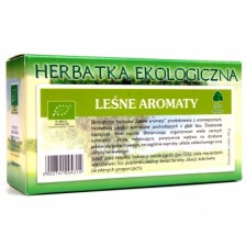 Herbatka Leśne aromaty BIO 20x2g DARY NATURY