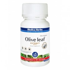 Olive Leaf ekstrakt 10:1 500mg liść oliwny Liść OLIWNY żylaki 60kaps.