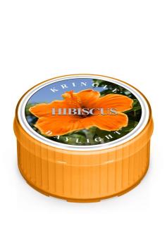 HIBISCUS  świeczka Kringle Candle Hibiskus - Daylight 1,25oz