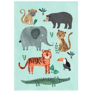 Petit Monkey - Poster Wild Animals 70 x 50 cm Mimisia.pl
