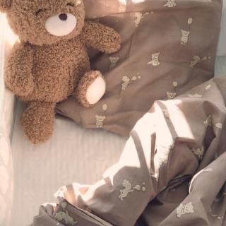 Topmark Petu Petu pościel niemowlęca poszewki 70x100/40x45 BABY Teddy