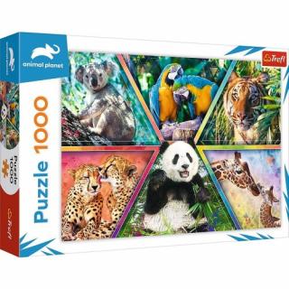 Trefl Puzzle 1000 Królestwo zwierząt Animal Planet