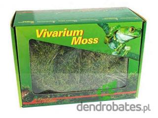 Mech żywy Vivarium Moss 150g LUCKY REPTILE