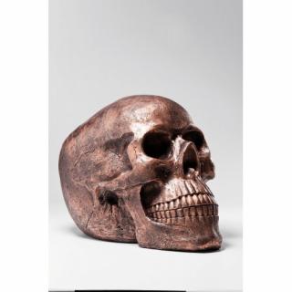 Kare design - Figurka Dekoracyjna Skull Head miedziana