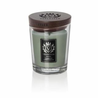 Średnia Świeca Vellutier - Cannabis Connoisseur
