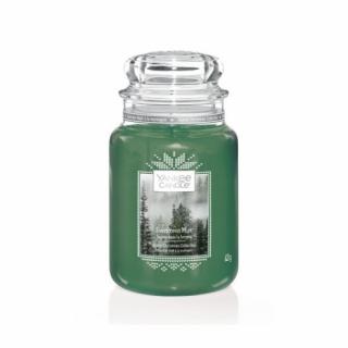 Yankee Candle - Duża Świeca EVERGREEN MIST