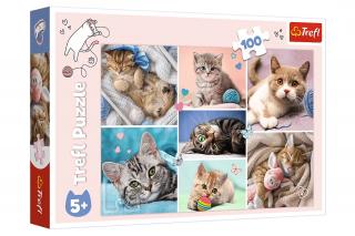 Trefl Puzzle 100el W kocim świecie 16420