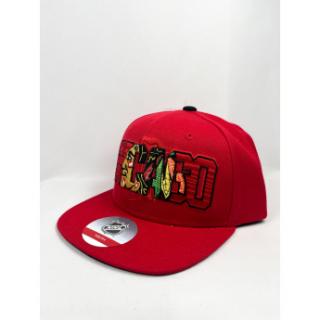 Chicago Blackhawks dziecięca czapka baseballowa Life Style Graphic Sn