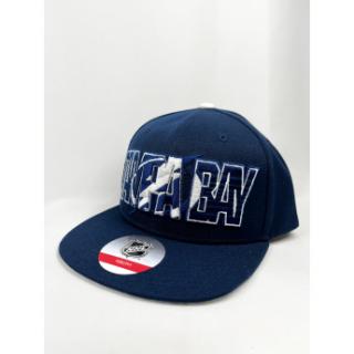 Tampa Bay Lightning dziecięca czapka flat Life Style Graphic Snapback