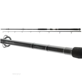 Wedka Daiwa Exceler Catfish 200-600g 3.30m