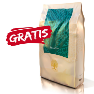 ESSENTIAL Stamina 10kg Psy aktywne + Gratis