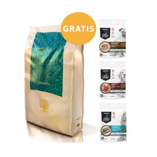 ESSENTIAL Stamina 10kg  | psy aktywne lub z niedowagą  + TAPAS GOURMET przysmak Gratis!