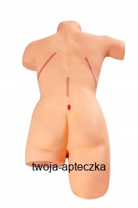 Model symulujący cięcia chirurgiczne HUG/LV18