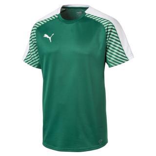 PUMA INDOOR T-SHIRT ROZ.S