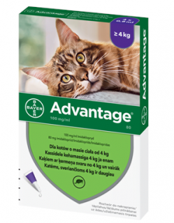 ADVANTAGE kot 0,8 ml ( pow.4 kg) - 1 pipeta