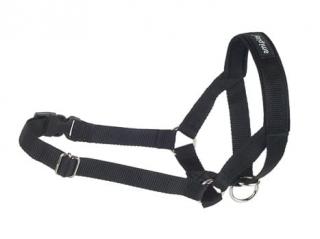 Amiplay Halter Basic L (N4) Labrador Czarny